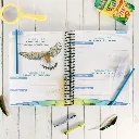 Zoology-1-Flying-Creatures-2nd-Edition-Notebooking-Journal-Lesson-10.webp
