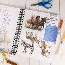 Zoology3-Notebooking-Journal-Interior-5.webp