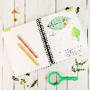 Botany-Regular-Notebooking-Journal-Lesson-6.webp