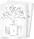 AAS-L7-LatinWordTree.webp