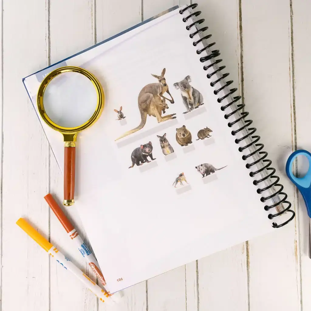 Zoology3-Notebooking-Journal-Interior-1.webp