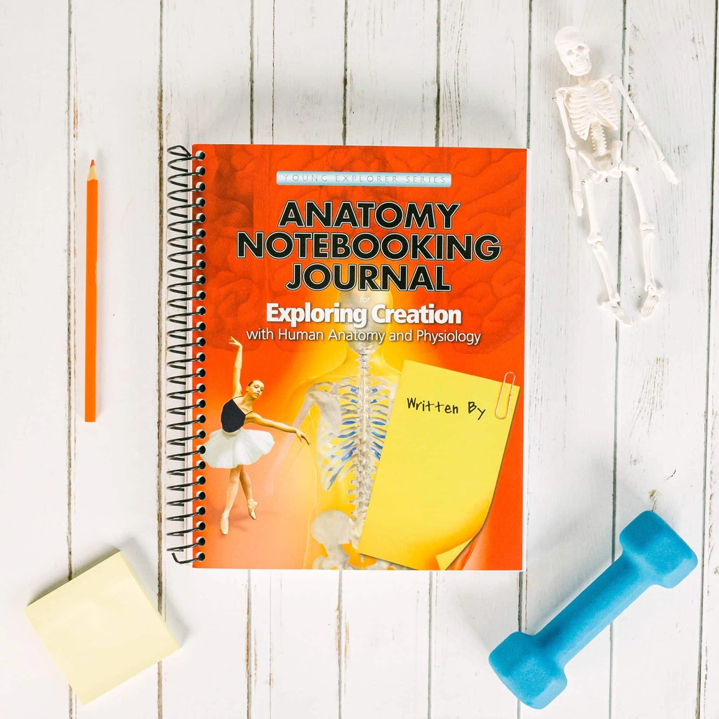 [APOANANJ] Exploring Creation with Human Anatomy and Physiology Notebooking Journal