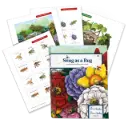 Snug as a Bug Review Book